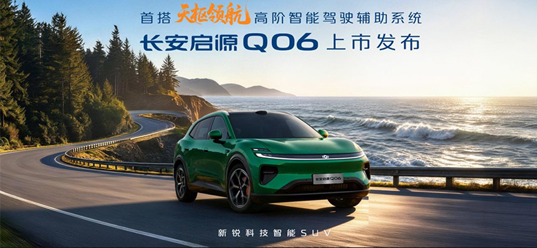 ������ԴQ06���з�����