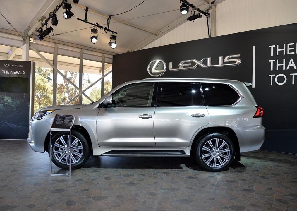 ׿˹LXڳβµDսǣβҲΪӷ׿˹³Եʽ