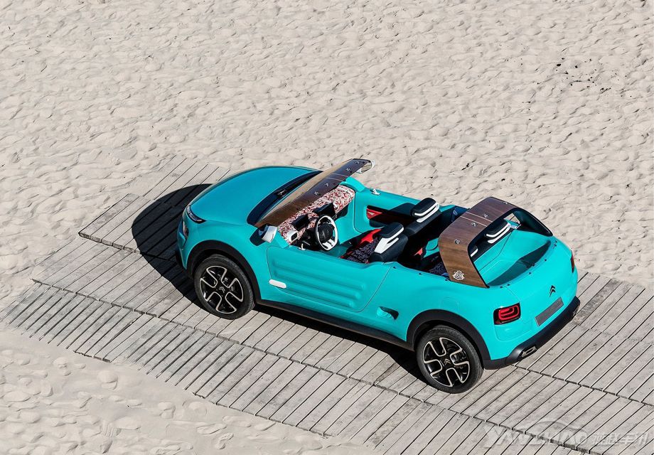 ѩC4 CACTUS MΪ4157mmȴﵽ1.77ףߺƱһ£Ϊ2595mm