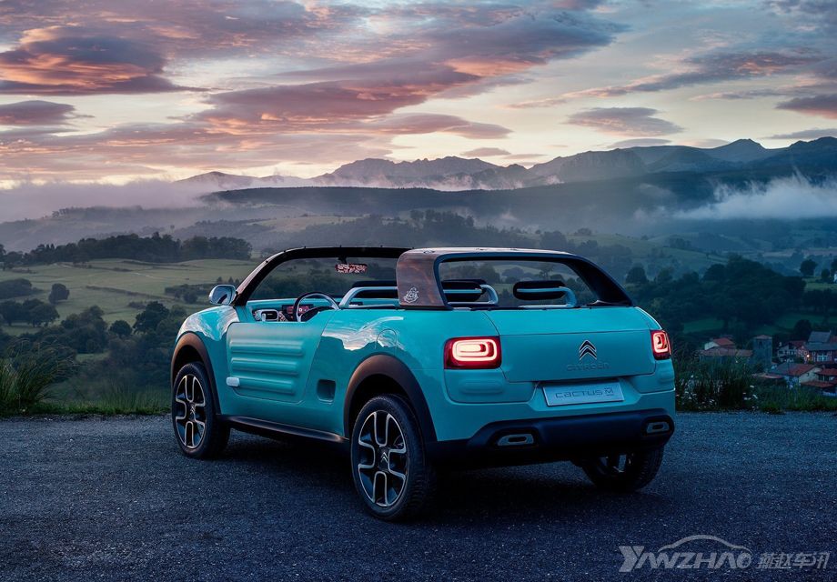 CactusƱԽҰMehariľƷ