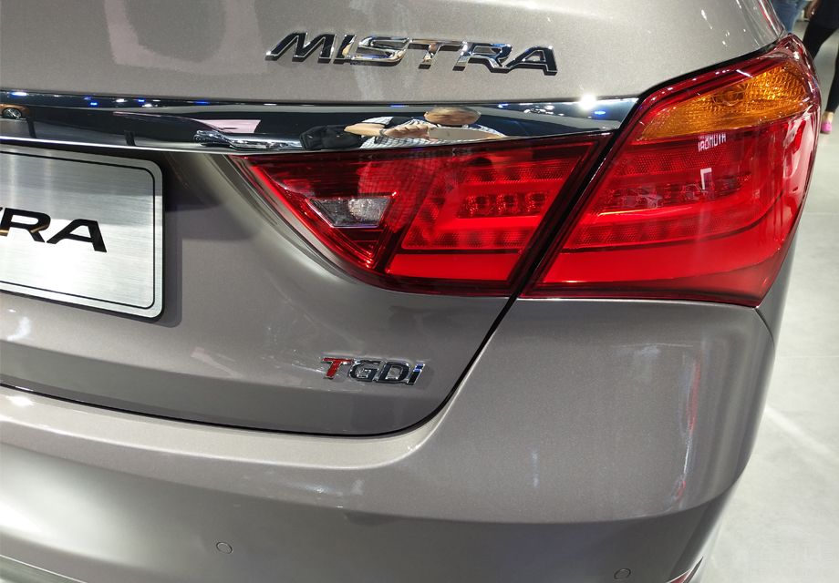 ��β���֣�ӥ��ʽ��β��������ɫ�Ƹ����Σ����������ͼ���졢���ص����ʡ�