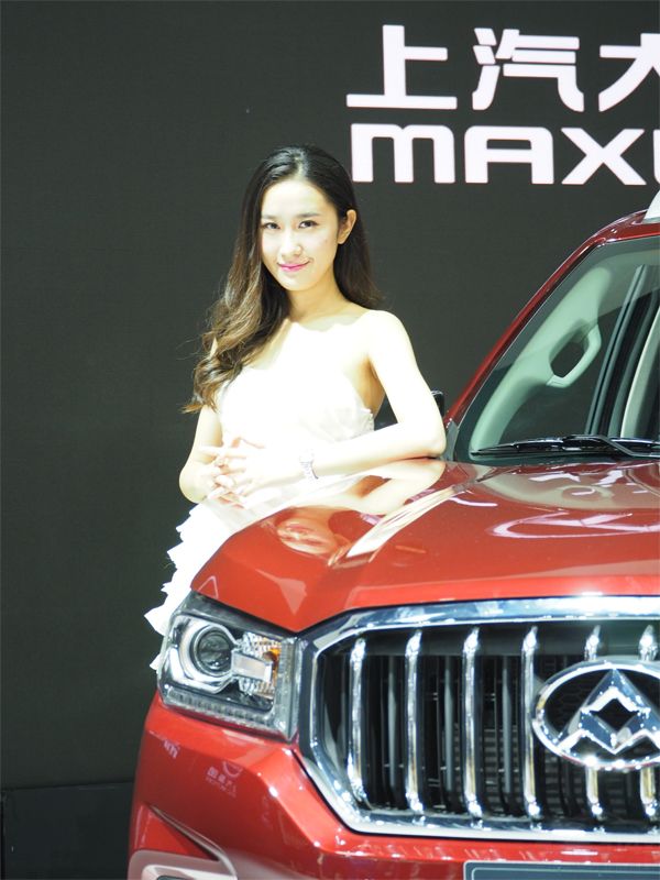 ����Ƴ���һ��Ƥ�����ͣ��г�ģ�Ͳ����ˡ�