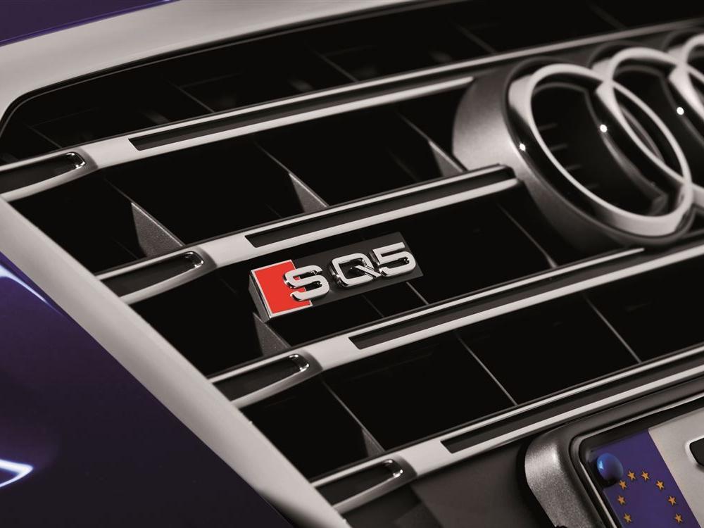2013��12��21��SQ5�ڹ�����ʽ����