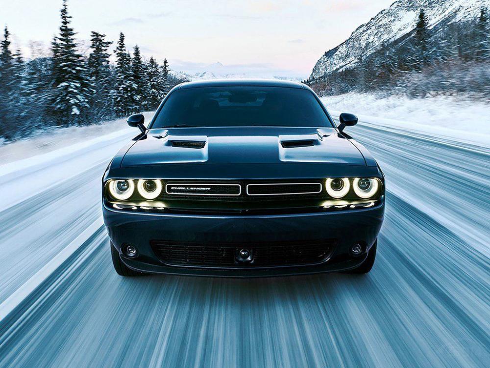 Ҳ��Ŀǰ���������������������Žγ��� 