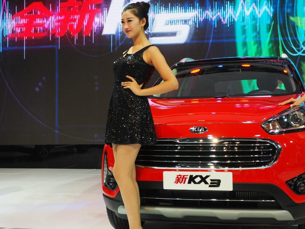 ����һͷ�ڷ�֮�⣬ȫ��ѩ�ף������������ס�