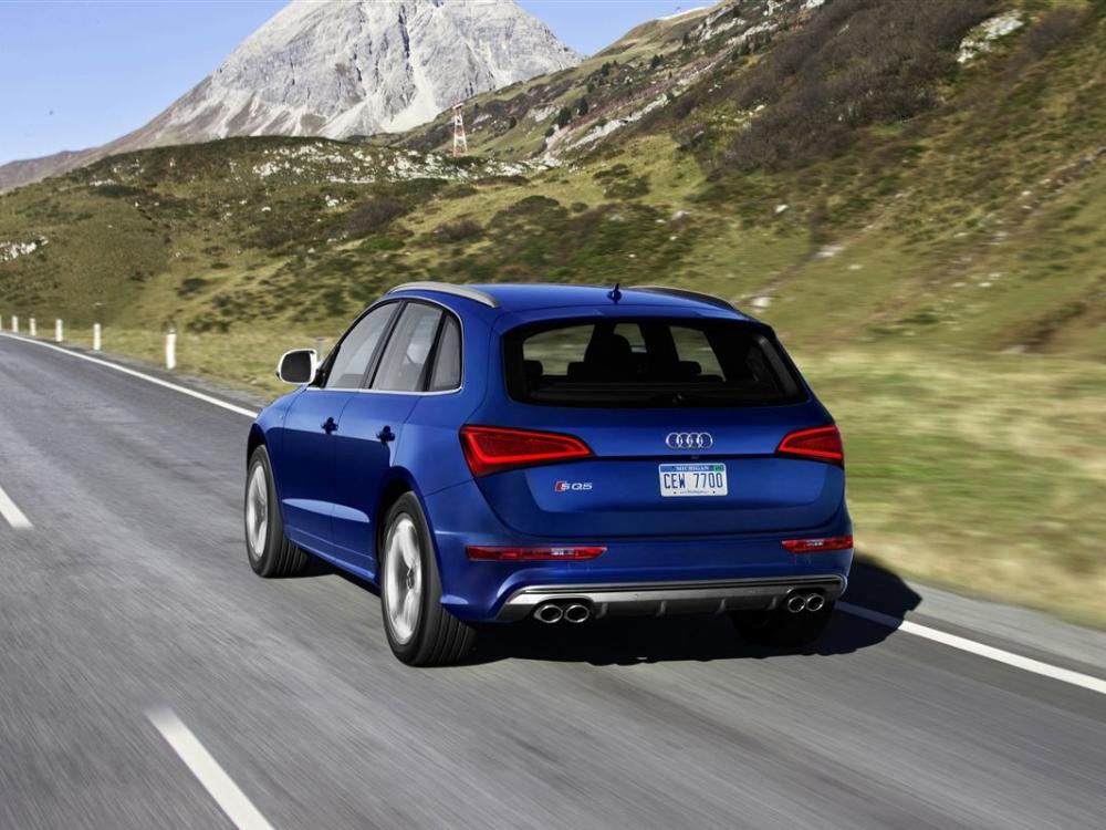 ˫���ĳ���������ǹ��ɫ�˶��ͺ�β���ߵ���չʾ���Լ���ʵ����