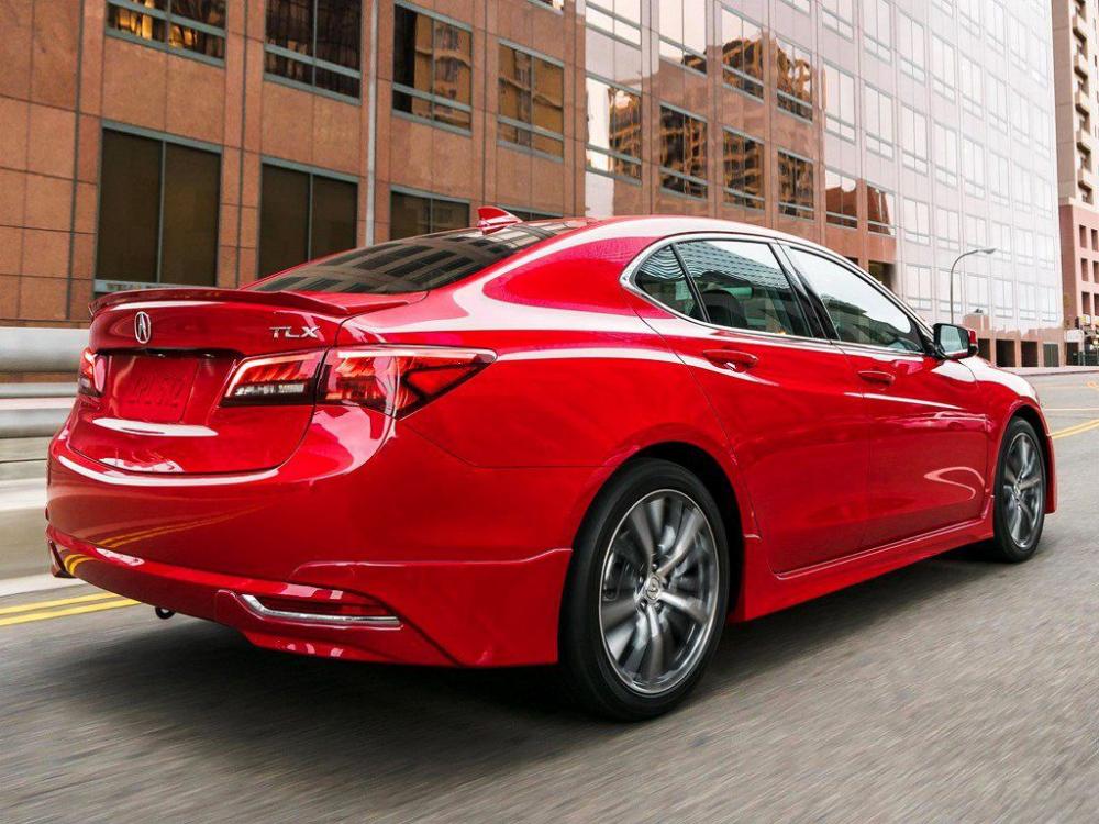 �ڻ�����Ļ�����������19Ӣ����Ȧ����̥��