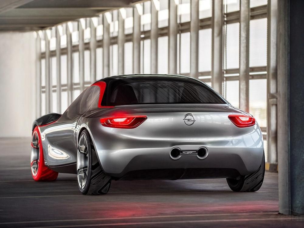 ���ĳ���ʮ��Բ�󣬳������������ڡ�����ɫΪ��ɫ�����ľ߿ƻ�ɫ�ʡ�