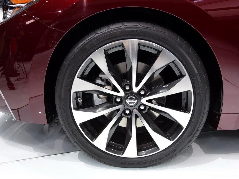 �ĸ������ڳľ����Ӵ����ĵط���������Ƥ��ŷ�������ϸ��Ǳ��档