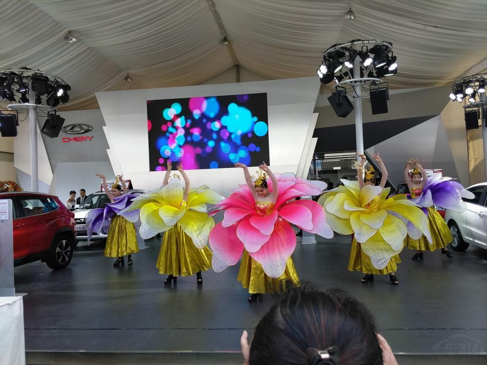 ��������֫����������