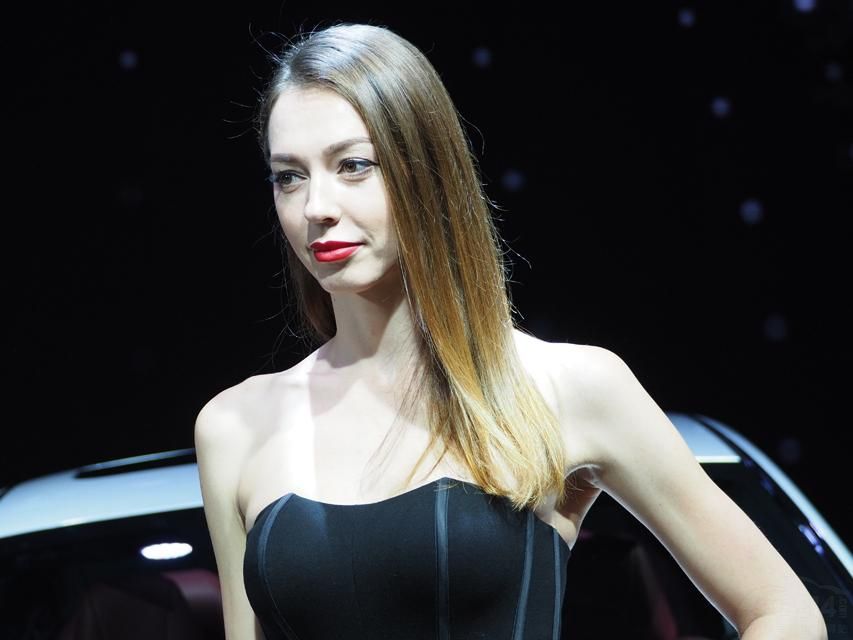 ��������������µİű����ޡ�