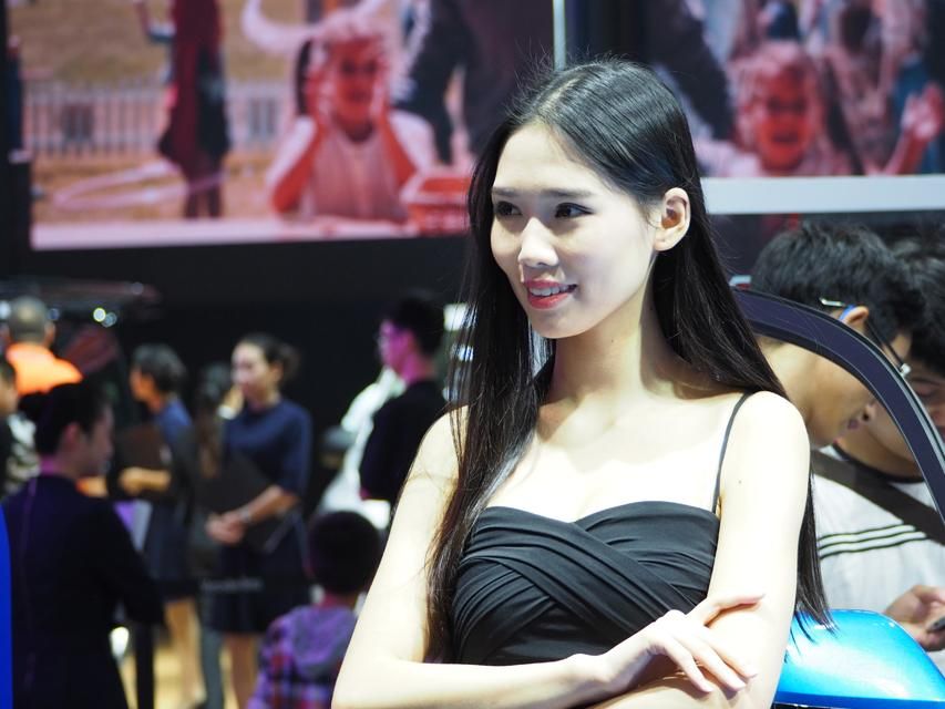 ���������������Ƭ��