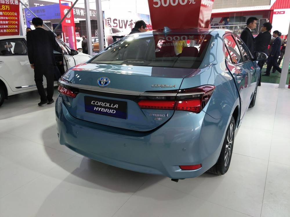 ��βͬ����һ���Ƹ����ᴩ��β���ϰ벿��Ϊ��ɫ��