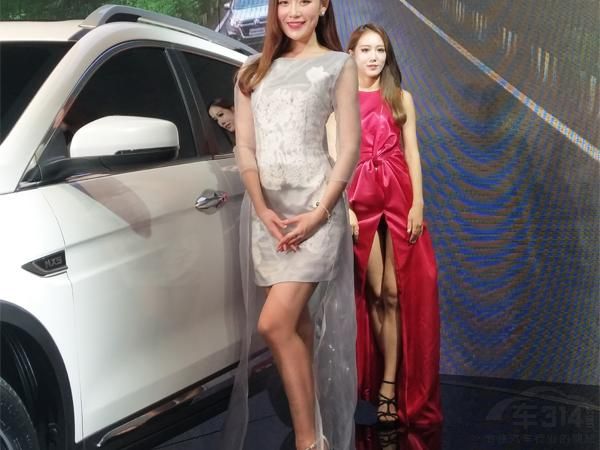 ѩ�׵ĳ����˳���Ⱦ��