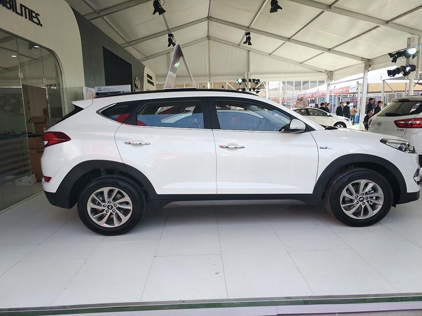 Ӳ³ΪЭ˼ĵƣװֺɫüҲӲʡ