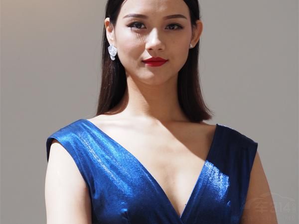 ���������ϸü��