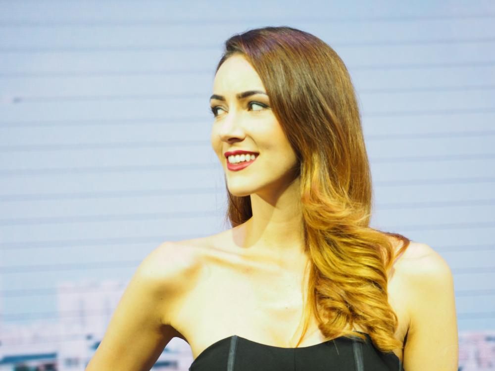 ��������ľ�����