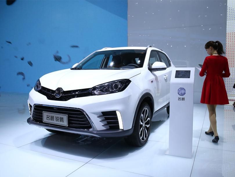 ���ڸ�դ��ʹ���˶Ƹ�����Ϊװ�Ρ�