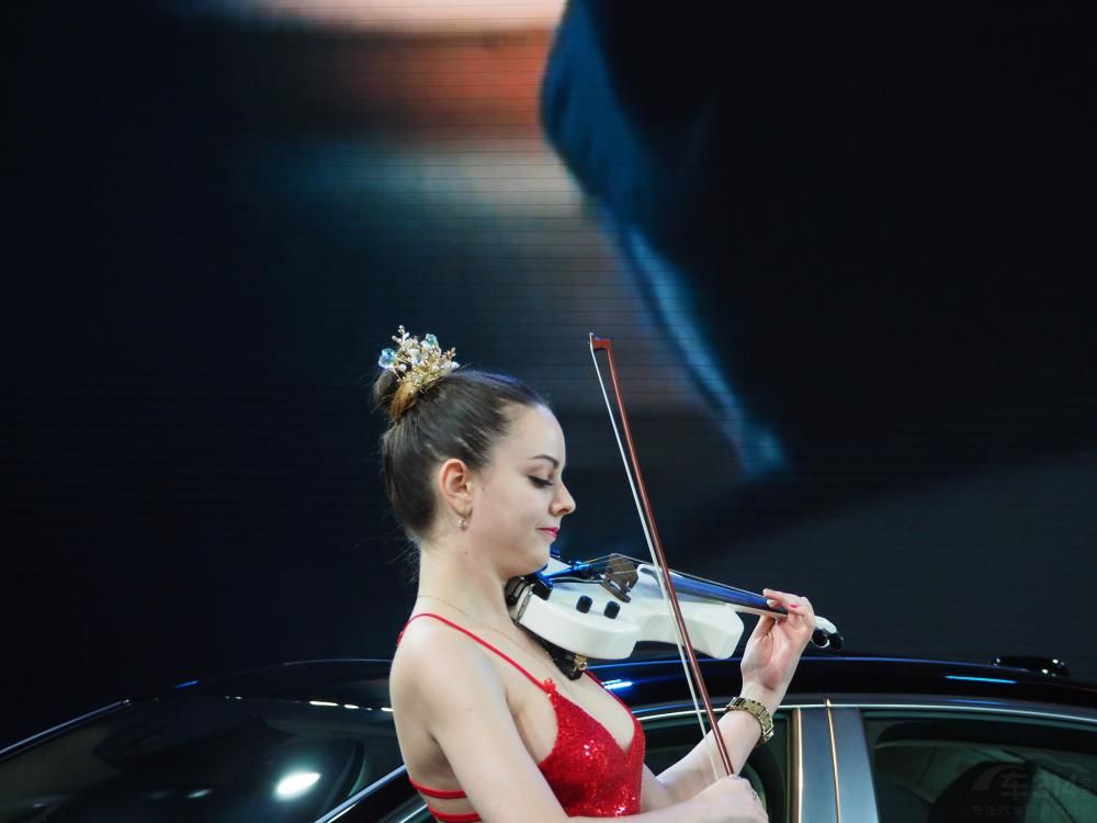 �����ŵĹ��