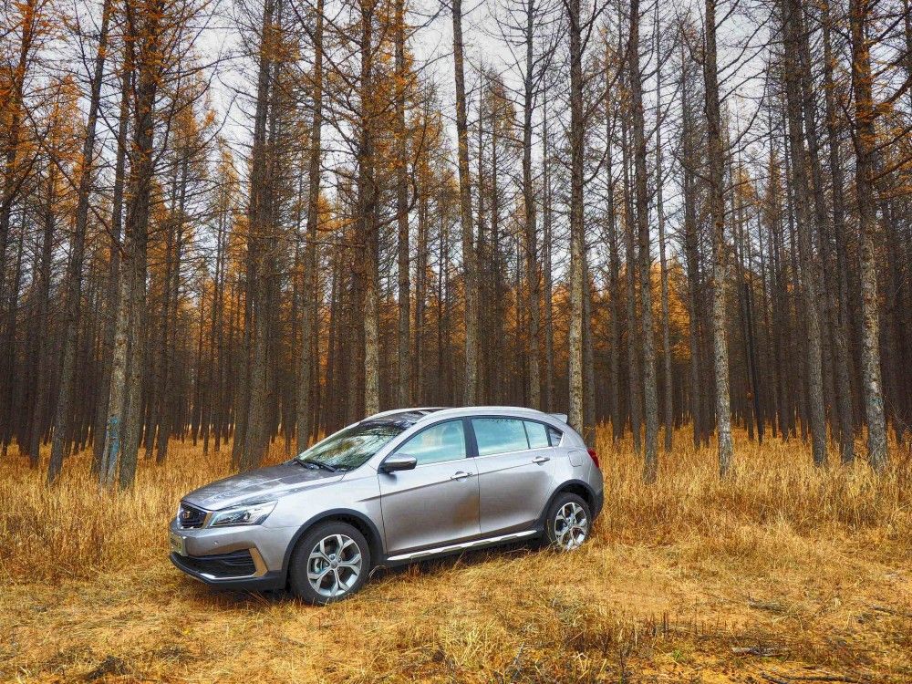 ĳУýѧϣЧʻеķϵ