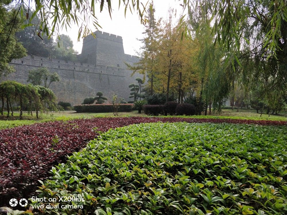 ͥǳҪĵǿʹεĺ黼Ϊģƽԭ人԰ȫѴ