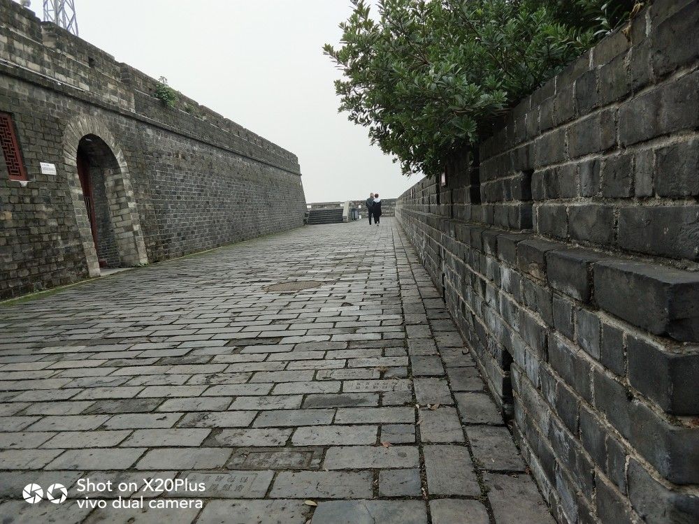 վ¥Ͽͥе㡰ϲԼĸϽ