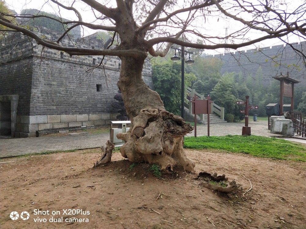 ɽϣ໭ž£ɽᣬǱ顣