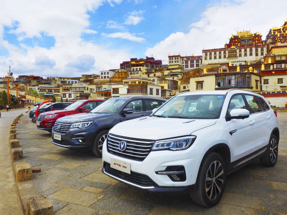 ӳCCƳȫݶĻȫĳڲˢߵ֪гڱ