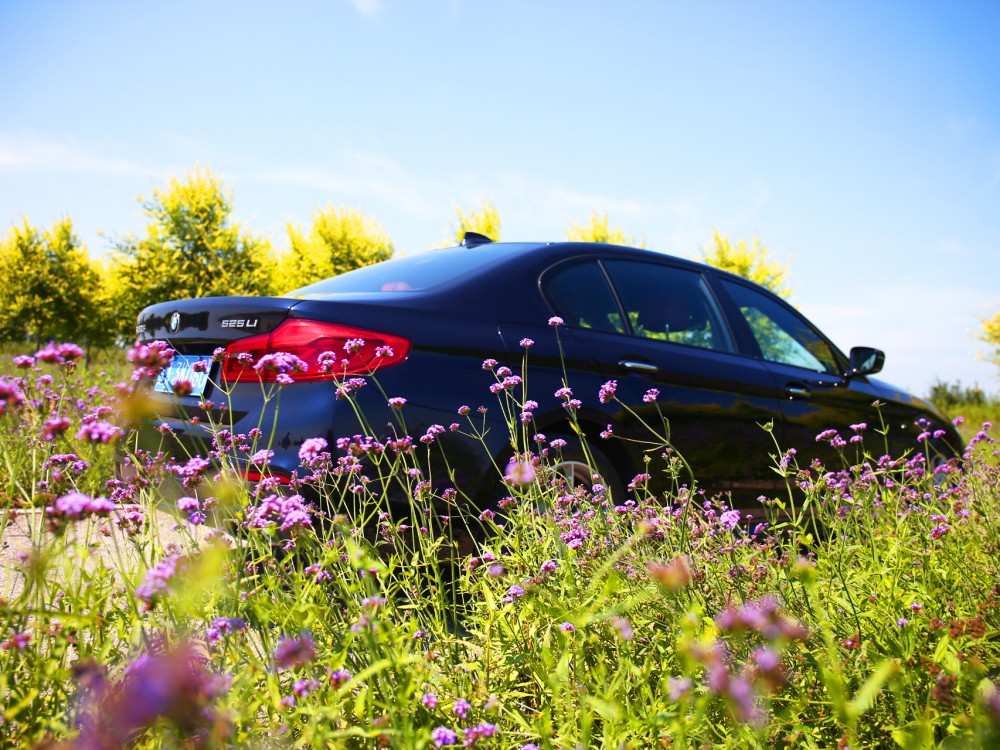 лʯׯ۷޹˾ṩԼݳߣ0311-8566 3000ߣ0311-8566 5000