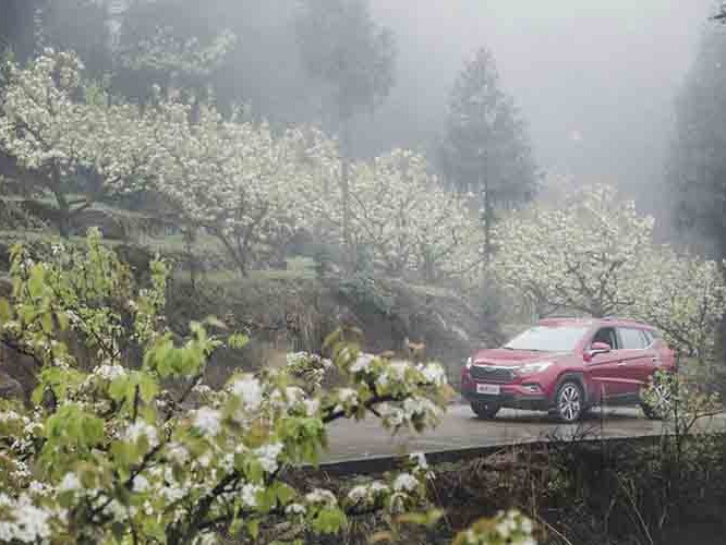 ΪƷƸƷSUVS42019꿪ȡ˲׵ĳɼȻܵڵӰ죬ǽ4000̨۳ɼ