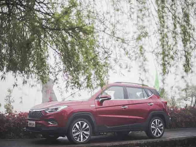 С·ϣS4ƾųǿĶһƬɫ֮С