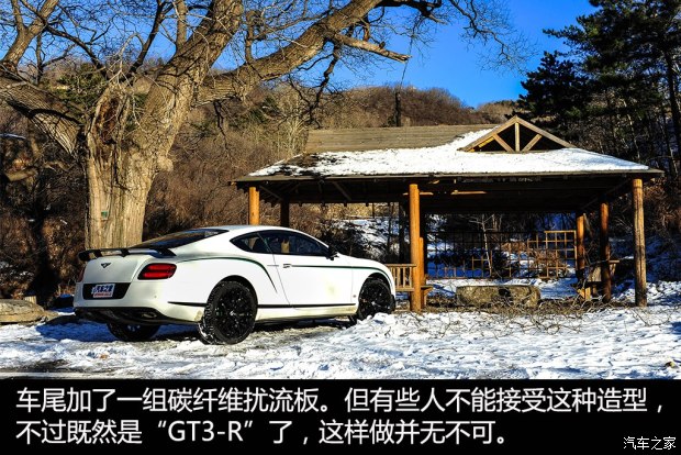  ŷ½ 2015 4.0T GT3-R