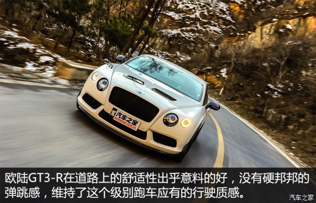  ŷ½ 2015 4.0T GT3-R