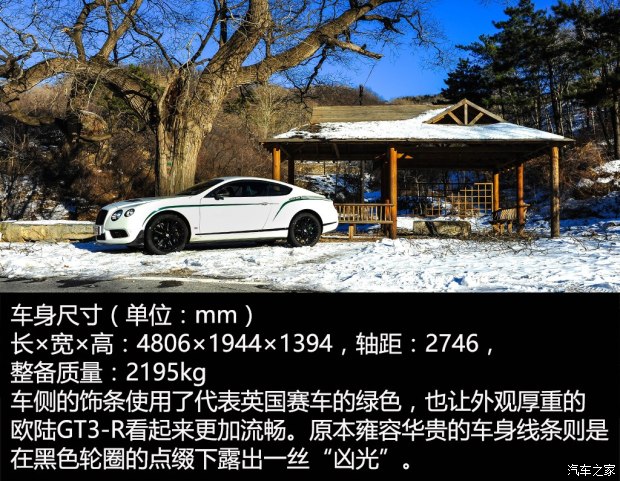  ŷ½ 2015 4.0T GT3-R