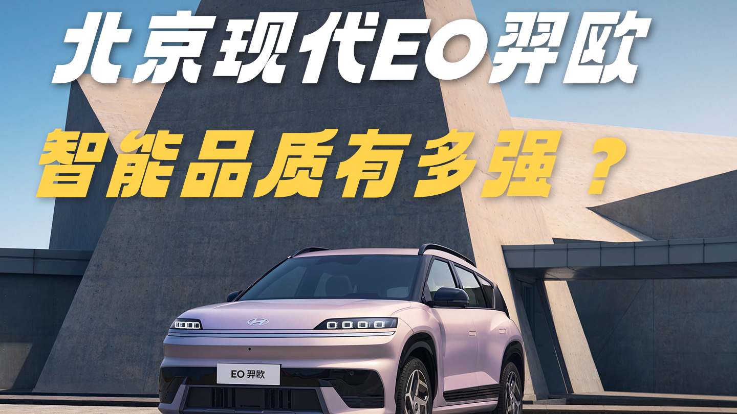 �����ִ�EO��ŷ��8295оƬ�ӳֵ����ж�ǿ��