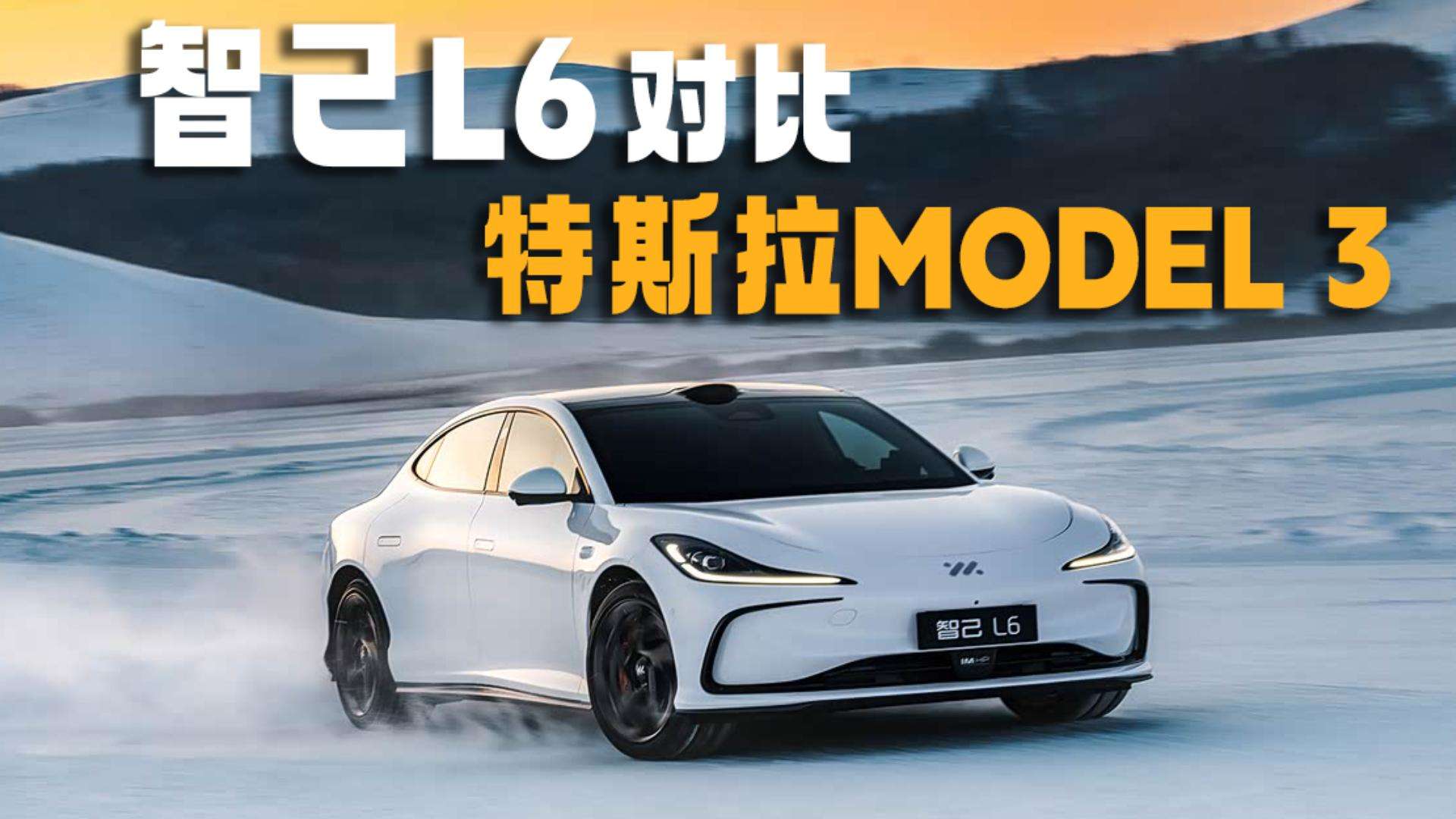 20�����Ǽ�L6����˹��Model 3����ѡ˭