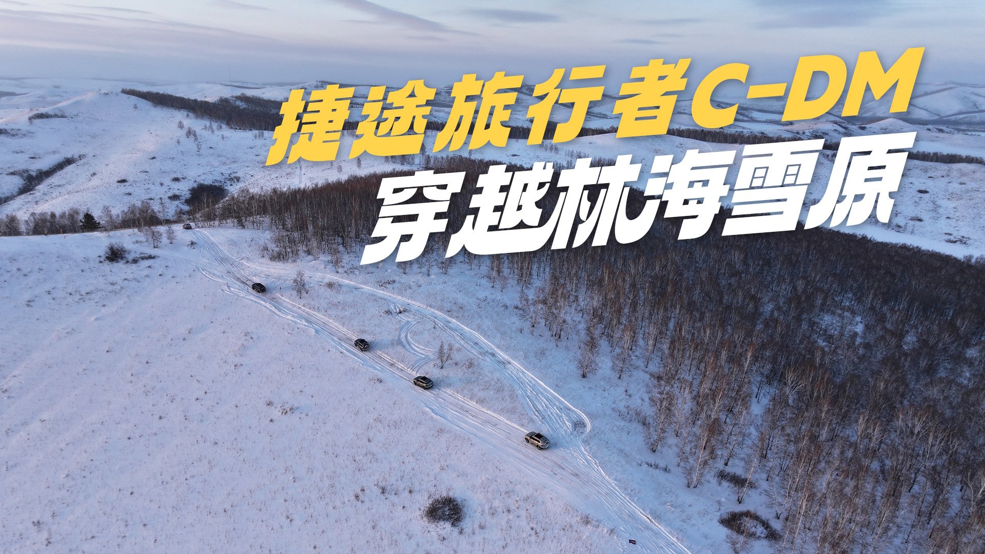 ��;������C-DM������ʮ�ȴ�Խ�ֺ�ѩԭ