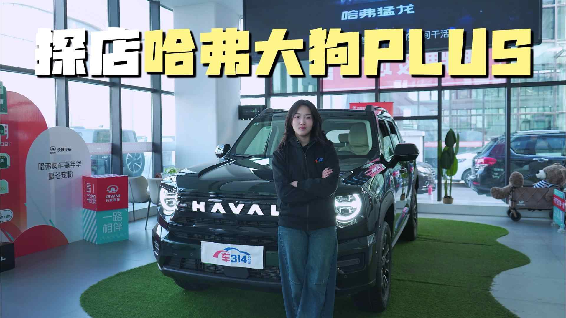 暖男心硬汉壳!探店硬派越野哈弗大狗PLUS