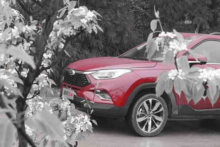 ԼݽS4