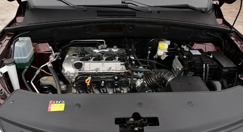560.jpg