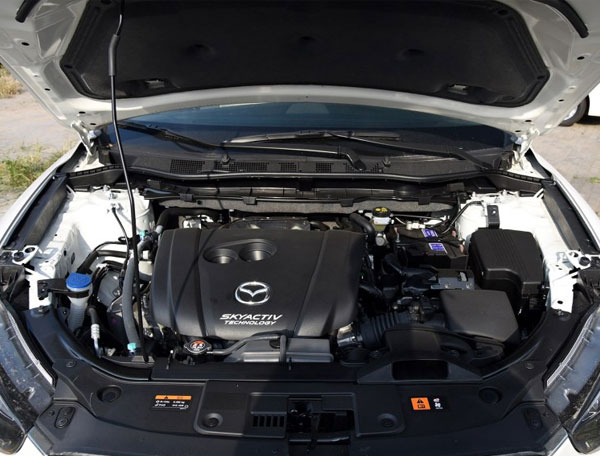 ԴCX-5.jpg