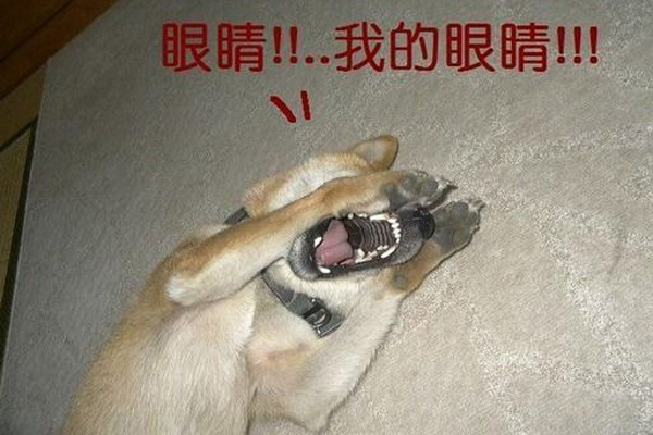 ˫12봽.jpg
