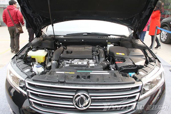 IMG_4882.JPG