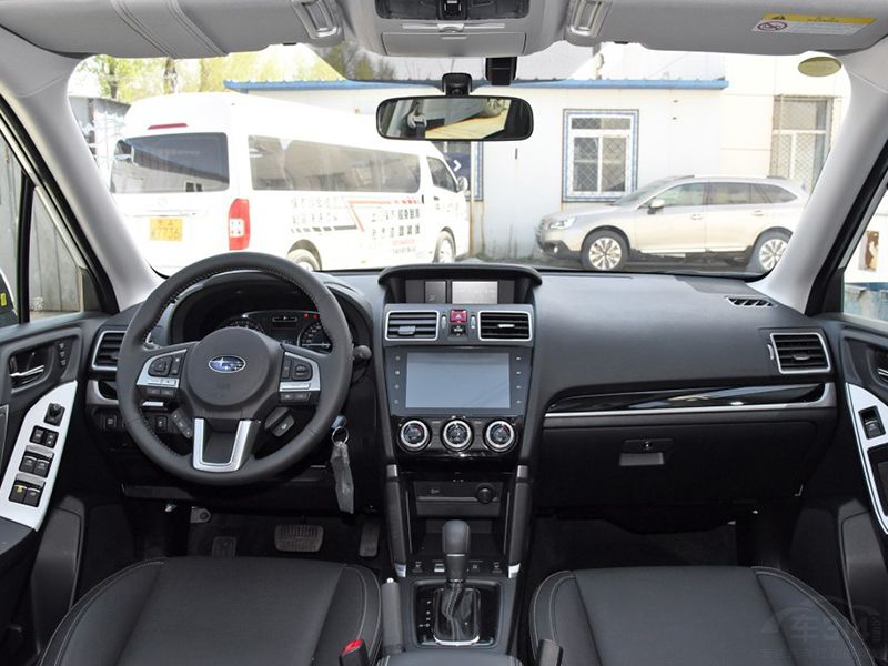 ɭ��������