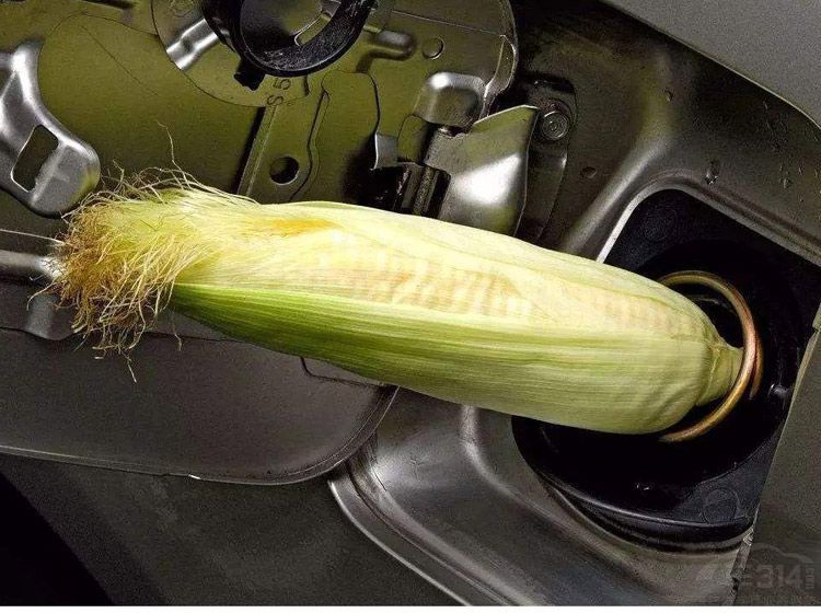 �����Ҵ����ͽ���ʼ�ռ� �������ЩӰ�죿