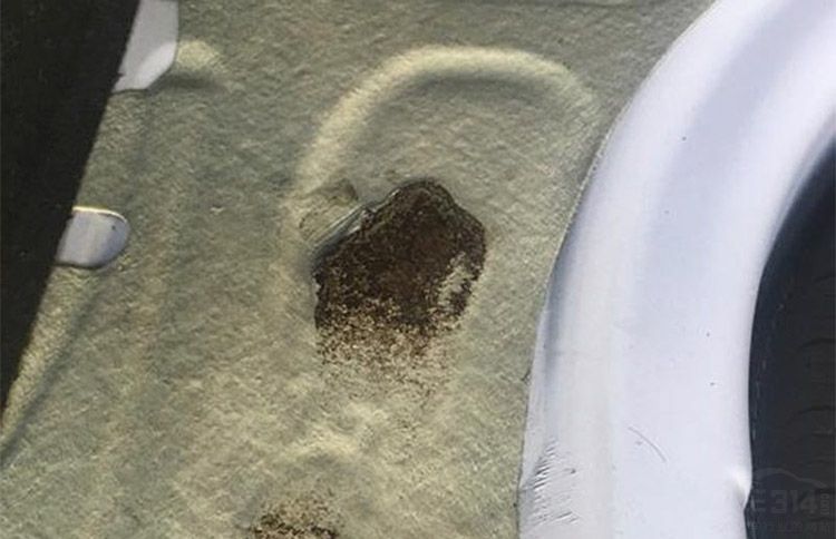 2017Ͷ�������� ��������ƨ�ɶ��