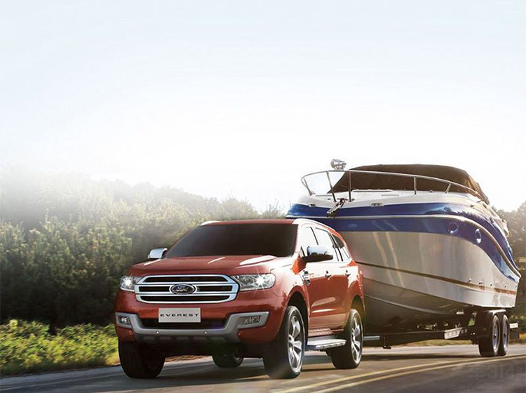 Ϊ�οڱ��õĳ�������������������ͣ��