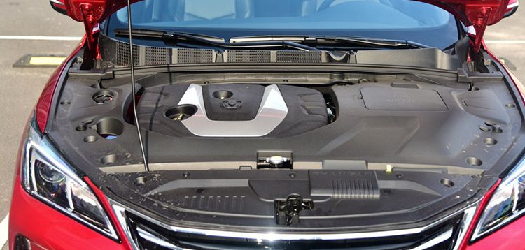 PoloPlus��������