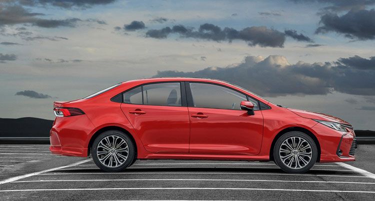 ȫ�¿���������