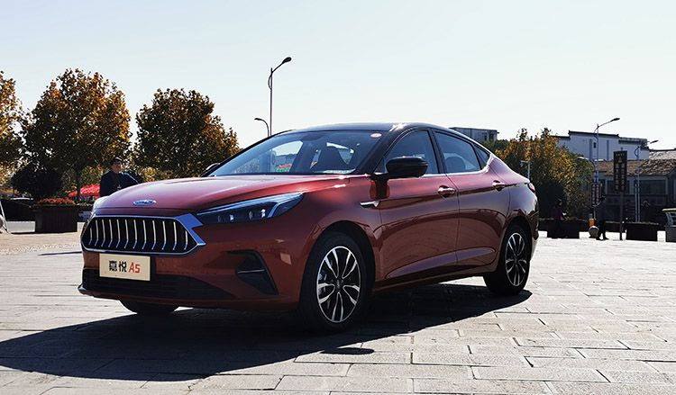 2019�꼴������